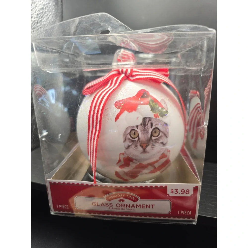 Holday Time Glass Tabby Cat Ornament With Pen To Personalize Name